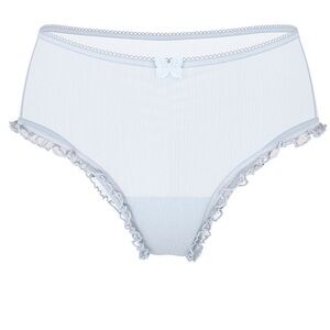 Victoria's Secret Tease ruffles Butterfly blue mesh Cheeky Panty